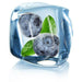 Blue Ice E-liquid.