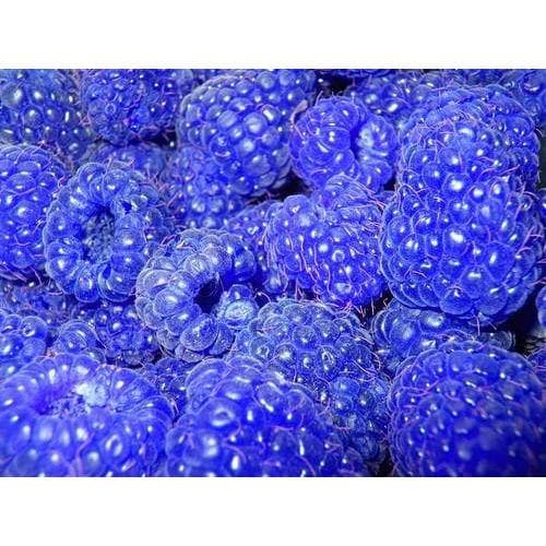 Blue Razzberry E-Liquid.