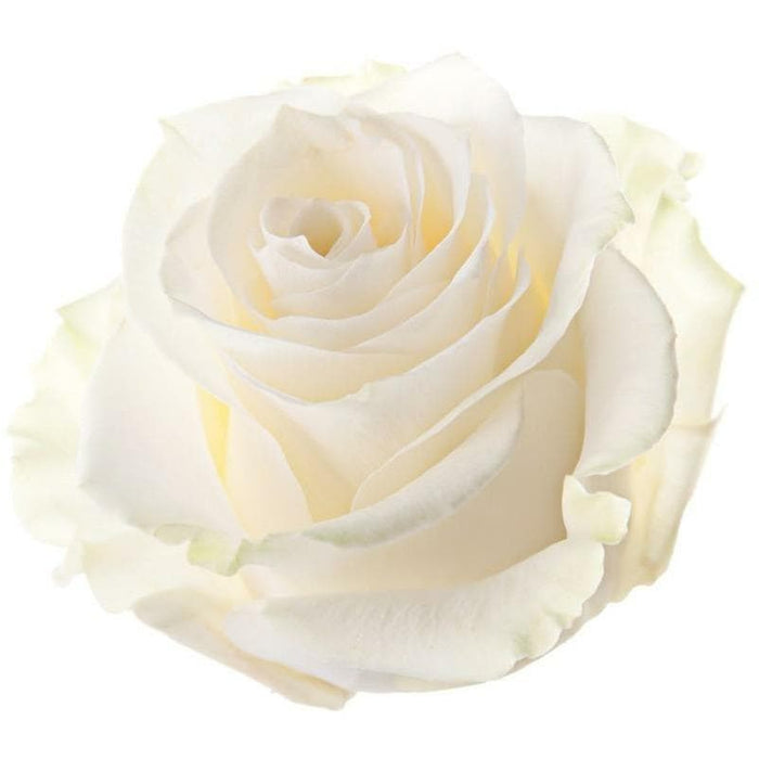 honey lavender vape juice saudi arabia Rose Candy E-liquid — E-Liquid.com