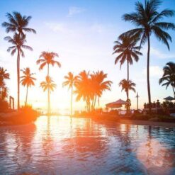 Cocopalm Smoothie E-Liquid