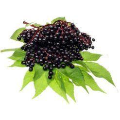 Elderberry E-liquid