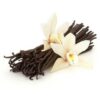 French Vanilla Deluxe E-Liquid
