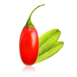 Goji Berry E-Liquid