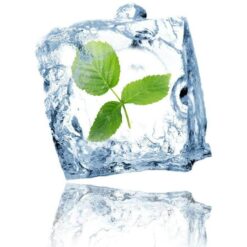 Spearmint E-Liquid.