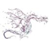 Splashy Dragon E-Liquid