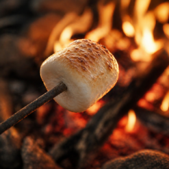 Toasted Marshmallow E-Liquid